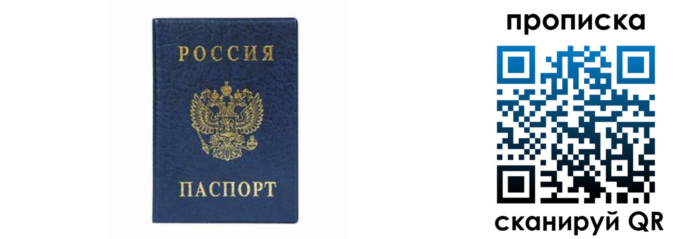 временная регистрация поиск в Завитинске